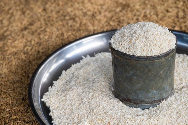 فروش برنج هندی فله + قیمت خرید به صرفه